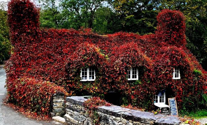 Autumnal Exterior of Tu Hwnt i'r Bont